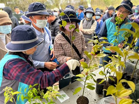 樹名稱|臺灣原生樹木推廣及媒合平臺